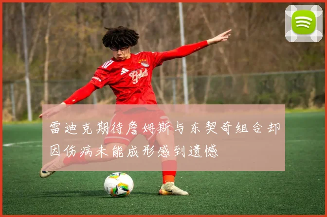 雷迪克期待詹姆斯与东契奇组合却因伤病未能成形感到遗憾