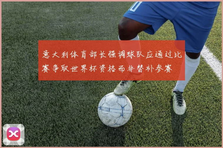 意大利体育部长强调球队应通过比赛争取世界杯资格而非替补参赛