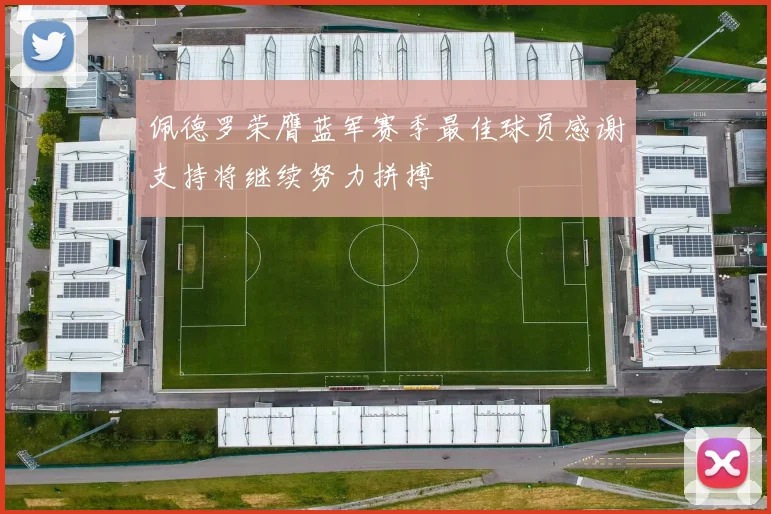 佩德罗荣膺蓝军赛季最佳球员感谢支持将继续努力拼搏